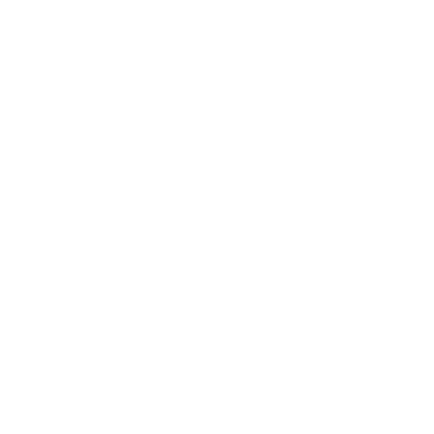 Logo FirstWave